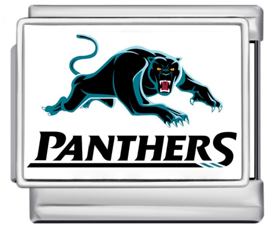 Panthers Silver