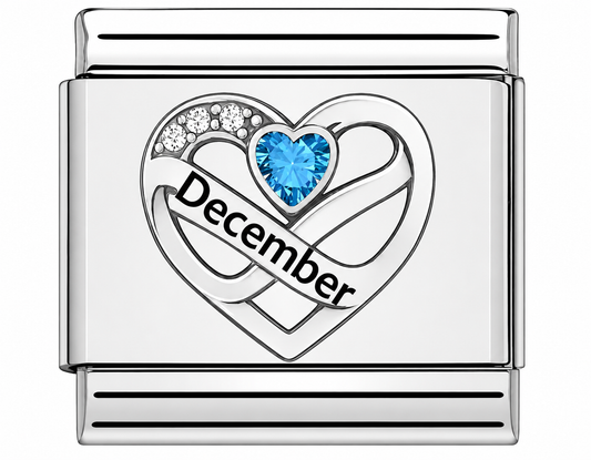 Birthstone December Silver