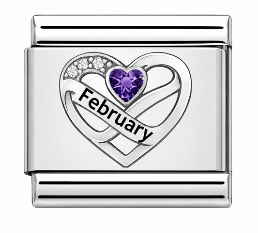 Birthstone February Silver