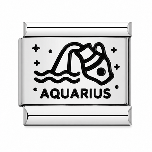 Zodiac Aquarius Silver