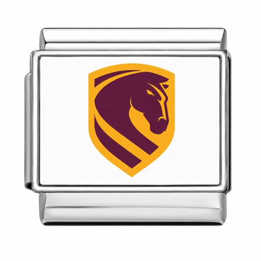 Brisbane Broncos Silver