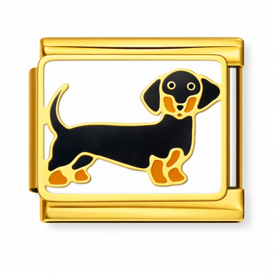 Dachshund Gold