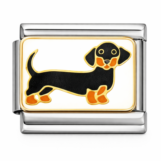 Dachshund silver