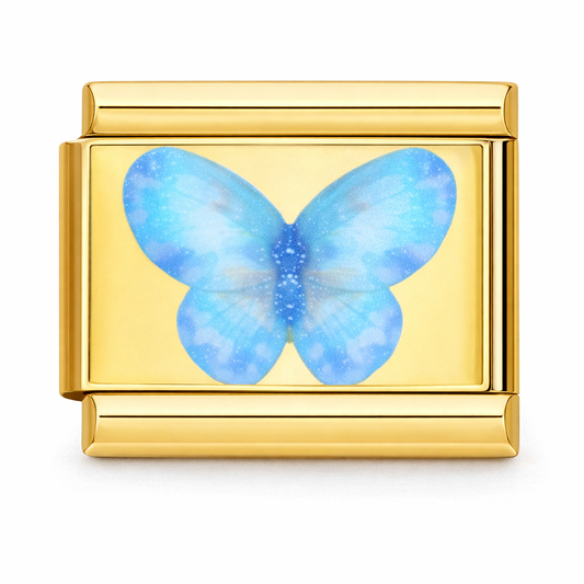 Gold Blue Butterfly