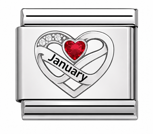 Birthstone January Silver